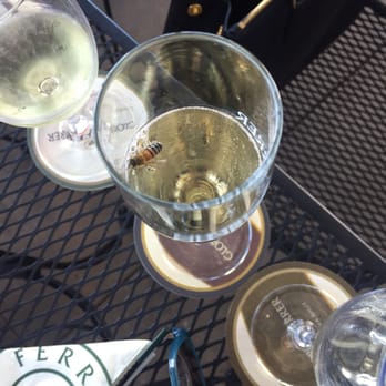 Gloria Ferrer Winery - One of the many bugs flying around that got to enjoy my champagne. Took 15 mins to get a new glass - Wineries Near Me - Sonoma, California