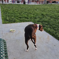 Prairie Dogs Dog Park