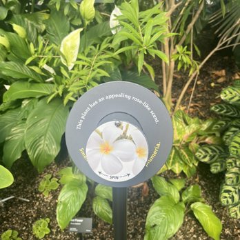 Myriad Botanical Gardens - Botanical Gardens Near Me - Oklahoma City, Oklahoma