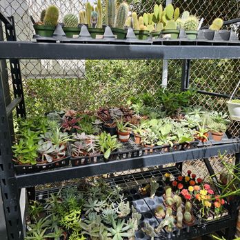Meeting Green - Nurseries & Gardening Near Me - Charleston, South Carolina Meeting Green - Nurseries & Gardening Near Me - Charleston, South Carolina