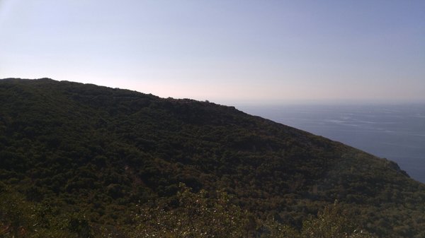 Parque Natural da Arrábida by null