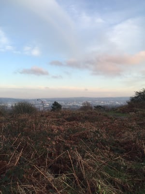 Cave Hill Country Park by null