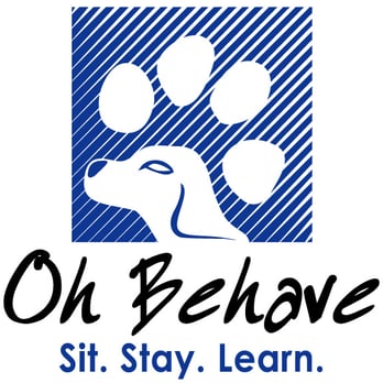 Dog Trainer Broward - Positive reinforcement dog training - Pet Training Near Me Dog Trainer Broward - Positive reinforcement dog training - Pet Training Near Me
