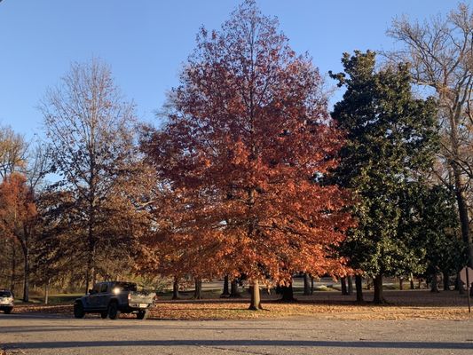 Overton Park by null