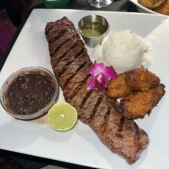 Mango's Tropical Cafe - Dance Clubs Near Me - Miami Beach, Florida Mango's Tropical Cafe - Dance Clubs Near Me - Miami Beach, Florida