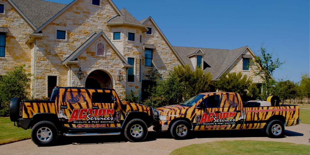ACTION SERVICES WILDLIFE AND PEST CONTROL Updated August 2024 621 N 29th St, Waco, Texas