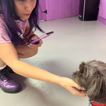 Bark 'N Berry - Celena doing the "Dogs of Tucson" photo shoot with Frita - Pet Stores Near Me - Tucson, Arizona Bark 'N Berry - Celena doing the "Dogs of Tucson" photo shoot with Frita - Pet Stores Near Me - Tucson, Arizona