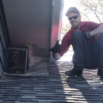 Quick Kill Exterminating - JP our go to for exterminating needs - Pest Control Near Me - Wheeling, Illinois