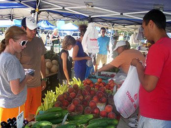 Frisco Rotary Farmers Market by null
