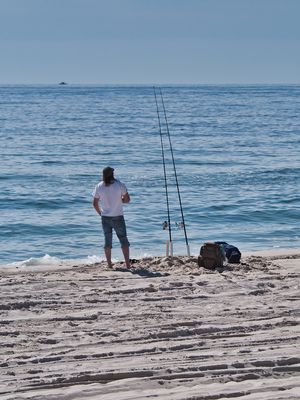 Island Beach State Park by null