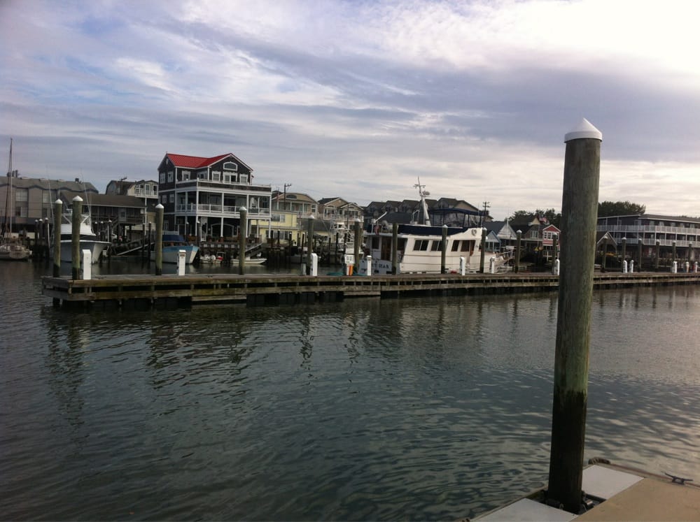SOUTH JERSEY MARINA Updated September 2024 1231 Rte 109, Cape May