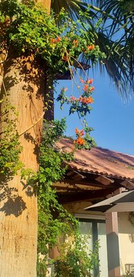 La Maison Hotel by null