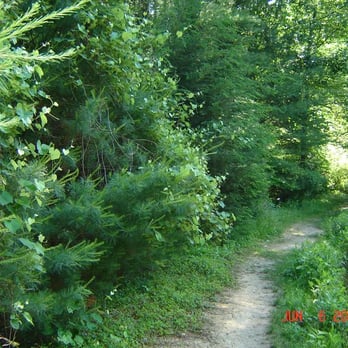 Caledonia State Park - trail - Parks Near Me - Fayetteville, Pennsylvania Caledonia State Park - trail - Parks Near Me - Fayetteville, Pennsylvania