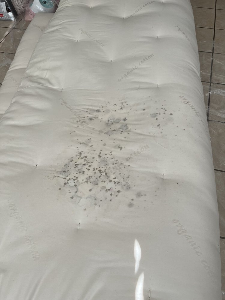 THE FUTON SHOP 44 Photos & 32 Reviews 1232 Los Vallecitos Blvd 108