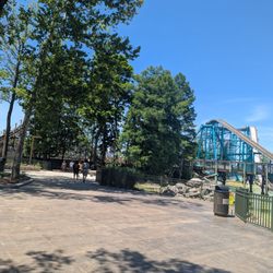 Log flume with Wind Chaser roller coaster in the background