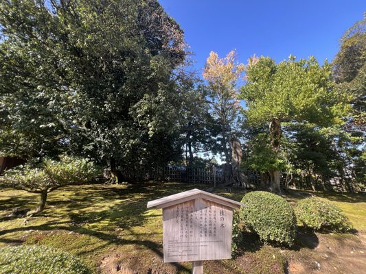 Gyokusen-inmaru Garden by null