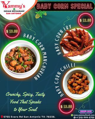 YAMMY'S INDIAN RESTAURANT - CLOSED - Updated December 2025 - 102