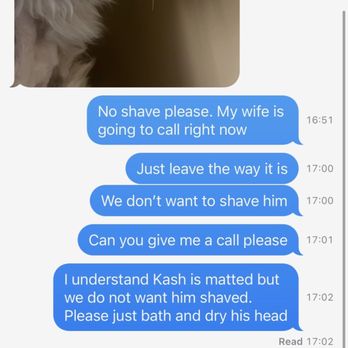 Pawfect Express Pet Spa - Texts between my husband and male groomer. Groomer was clearly reading the texts and still shaved and cut my dog - Pet Groomers Near Me - Montebello, California Pawfect Express Pet Spa - Texts between my husband and male groomer. Groomer was clearly reading the texts and still shaved and cut my dog - Pet Groomers Near Me - Montebello, California