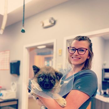 VCA Fairfield Animal Hospital - Veterinarians Near Me - Lancaster, Ohio VCA Fairfield Animal Hospital - Veterinarians Near Me - Lancaster, Ohio