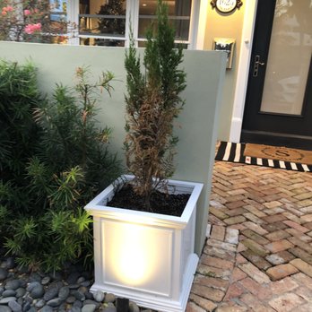 Petri Pest Control - Pest Control Near Me - Pompano Beach, Florida