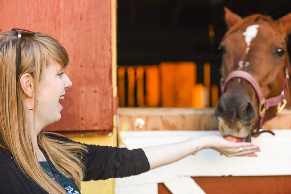 Seattle Farm by null