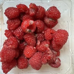 Wild By Nature - Organic Raspberries