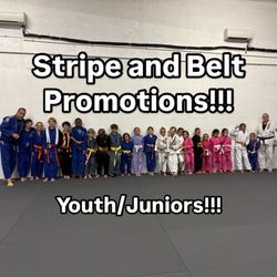 Paulo Ribeiro Brazilian Jiu Jitsu