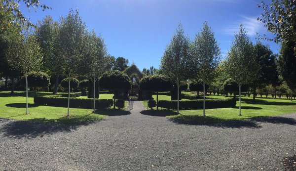 TreeChurch and Gardens by null