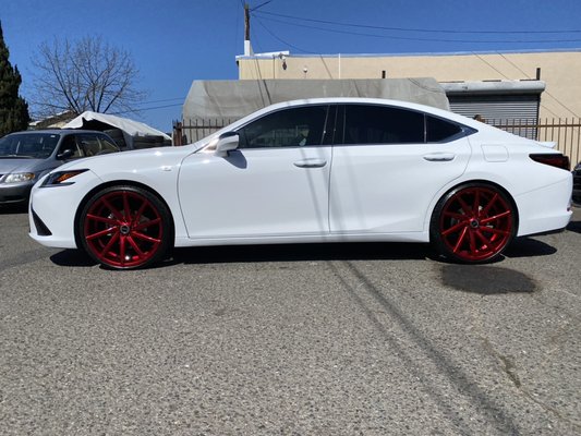 mf Floral Gems MagSafe - iPhone 17 Pro Max