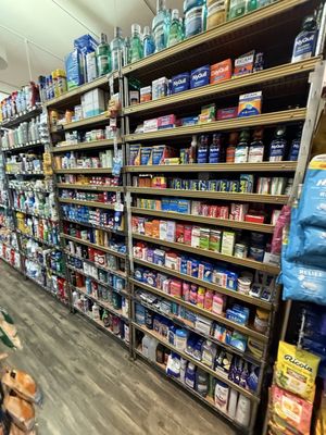 Mayflower Market by null