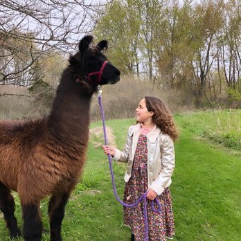 Prairie Patch Farm - Absolutely magical - Farms Near Me