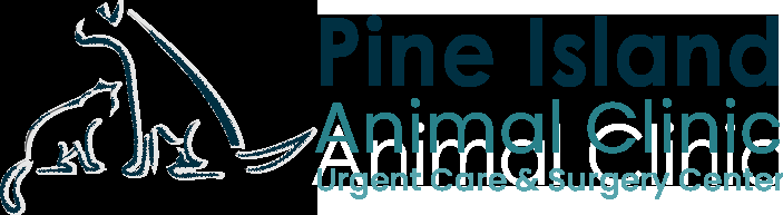 Pine Island Animal Clinic Image