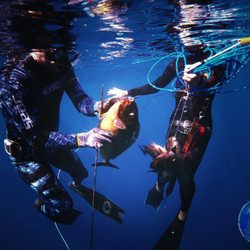 Ocean Deep Yoga