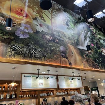 Urth Caffe Uncommons - Las Vegas - inside - Cafes Near Me - Las Vegas, Nevada Urth Caffe Uncommons - Las Vegas - inside - Cafes Near Me - Las Vegas, Nevada