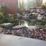 Photo of Pond Doctor