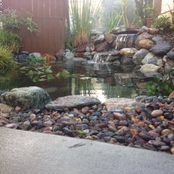 Pond Doctor - Bam: Pond Doctor Long Beach 562-208-2987