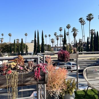 Coffee MCO - Coffee & Tea Near Me - Los Angeles, California
