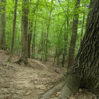 Mason Neck State Park - Parks Near Me - Lorton, Virginia