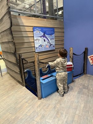 Children's Museum of the East End by null