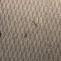 Holiday Inn Express Hotel Portsmouth-Gunwharf Quays - Stained floor.....