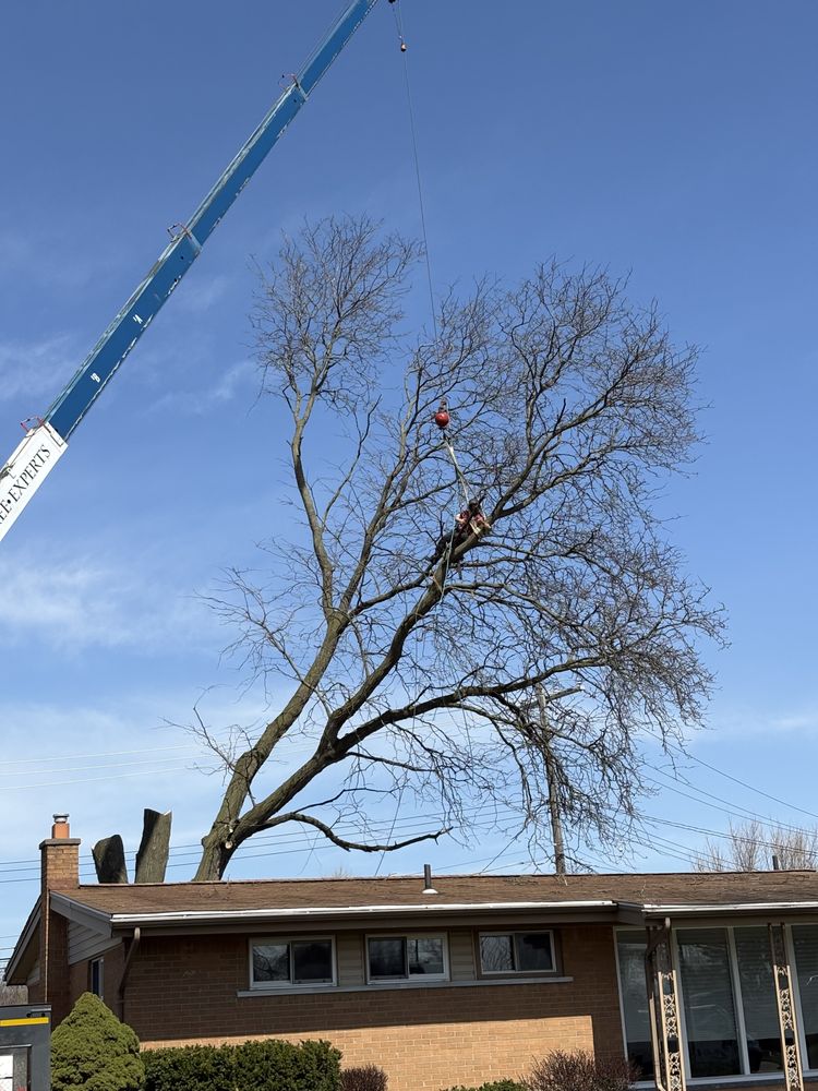Nate's Outdoor Services - tree service in Livonia, MI