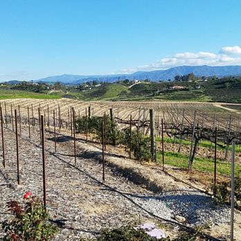 Temecula Valley Wine Country - The vines are regrouping...maybe see budbreak in march! - Wineries Near Me - Temecula, California Temecula Valley Wine Country - The vines are regrouping...maybe see budbreak in march! - Wineries Near Me - Temecula, California
