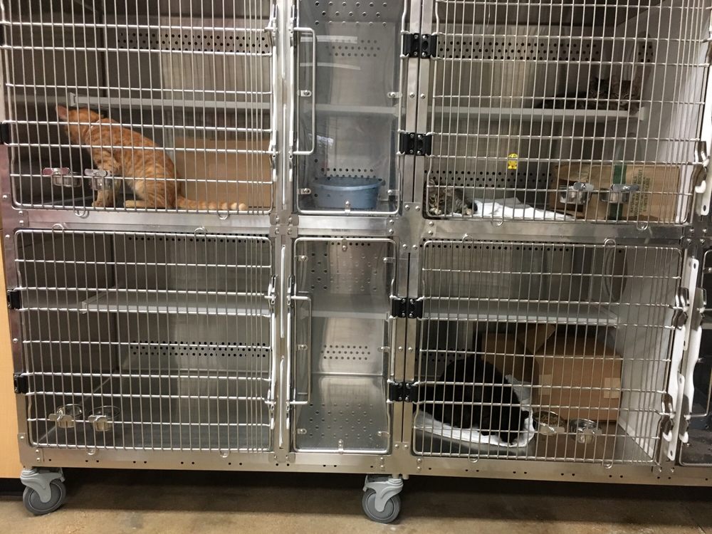 PETSENSE Updated July 2024 1112 W Main St, Gun Barrel City, Texas