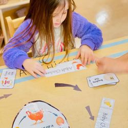 Imagine Early Education and Childcare of McKinney