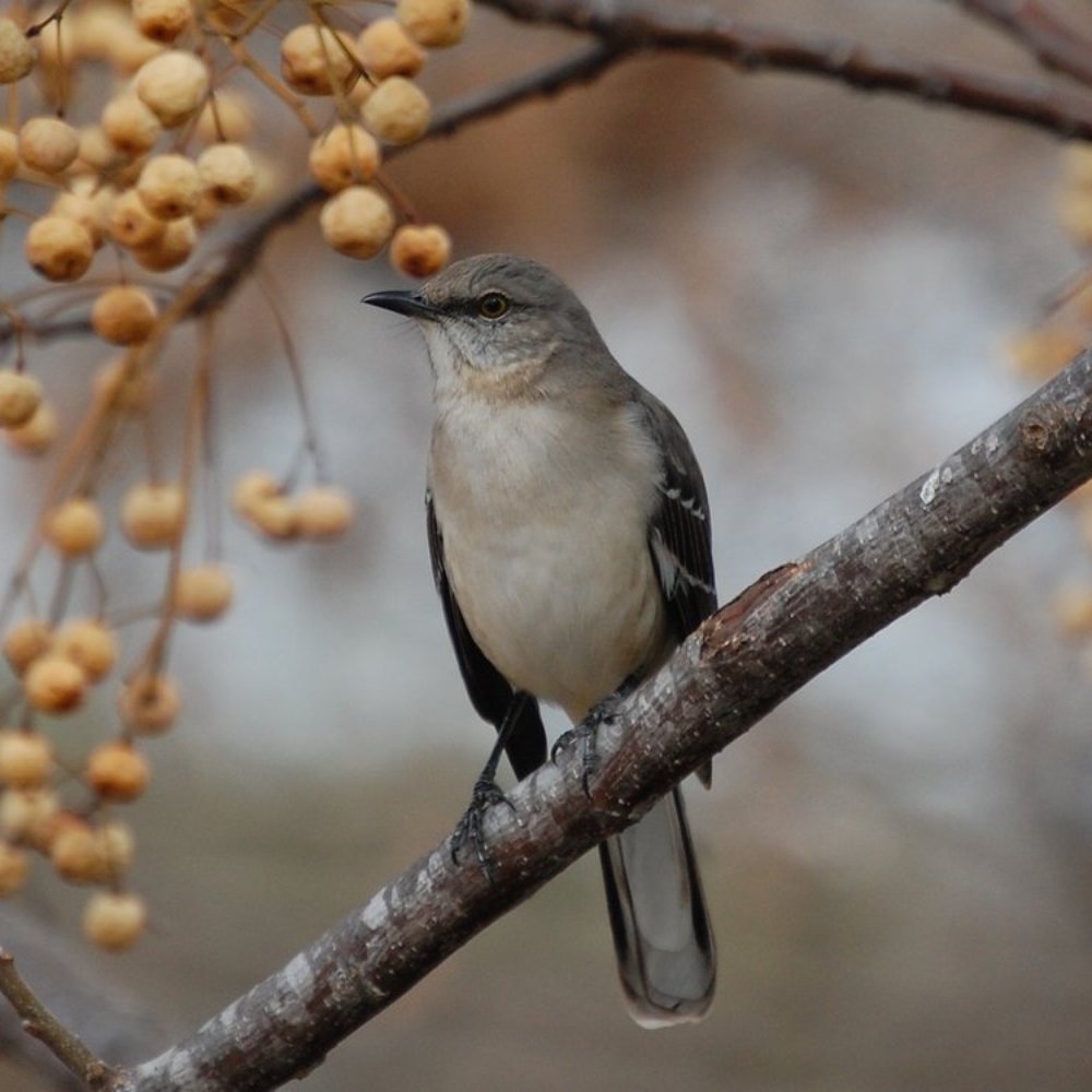 Leon Creek Greenway - Parks Near Me - San Antonio, Texas Leon Creek Greenway - Parks Near Me - San Antonio, Texas