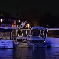 Winter Wonderland - Funny cow on top of a boat
