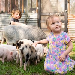Fun Factory Parties - Petting zoo rentals in Manhattan Beach featuring ponies, friendly farm animals, supervised encounters, and hands-on animal party experiences