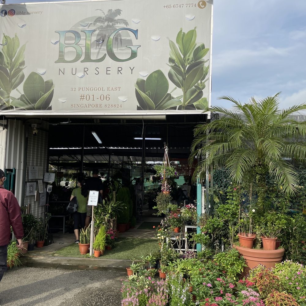 Flower Nursery Johor Bahru Best Flower Site