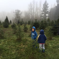 Green Acres Christmas Tree Farm