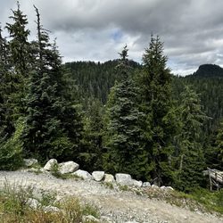 Grouse Mountain Ziplines